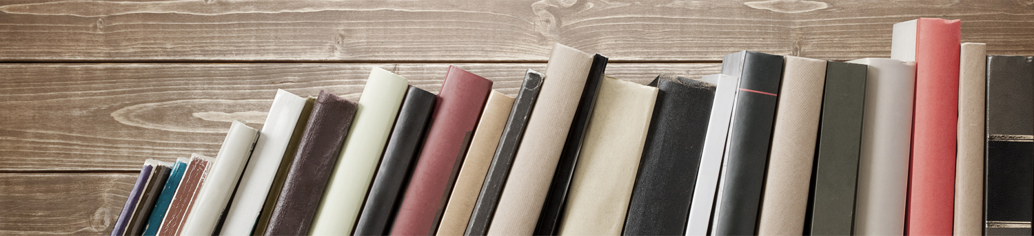 Hedging a portfolio with futures or CFD’s formula