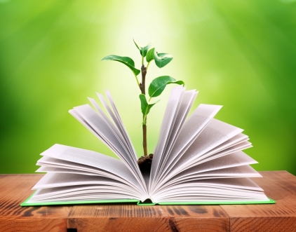 Ethical Investing In Canada Has Soared